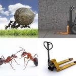 6-buchstaben-antwort-ameise