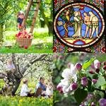 9-buchstaben-antwort-apfelbaum