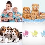 9-buchstaben-antwort-drillinge