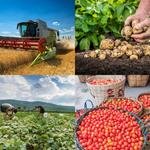 6-buchstaben-antwort-ernten