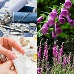 9-buchstaben-antwort-fingerhut