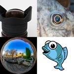 9-buchstaben-antwort-fischauge