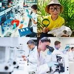 8-buchstaben-antwort-forschen