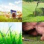 8-buchstaben-antwort-grashalm