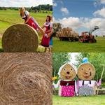 9-buchstaben-antwort-heuballen