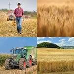 8-buchstaben-antwort-kornfeld