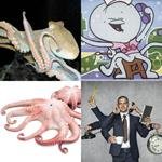 6-buchstaben-antwort-kraken