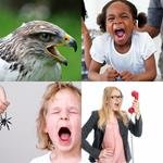 9-buchstaben-antwort-kreischen