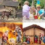 6-buchstaben-antwort-krippe