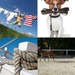 5-buchstaben-antwort-leine