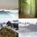 5-buchstaben-antwort-nebel