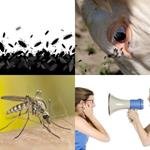 5-buchstaben-antwort-plage