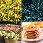 9-buchstaben-antwort-reichlich