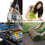 6-buchstaben-antwort-rollen