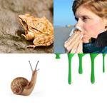 7-buchstaben-antwort-schleim