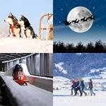 9-buchstaben-antwort-schlitten