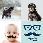 9-buchstaben-antwort-schnauzer