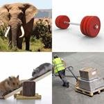 6-buchstaben-antwort-schwer