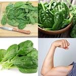 6-buchstaben-antwort-spinat