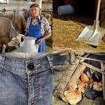 5-buchstaben-antwort-stall