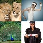 5-buchstaben-antwort-stolz