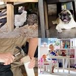 9-buchstaben-antwort-tischbein