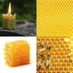 5-buchstaben-antwort-waben