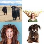 8-buchstaben-antwort-zottelig