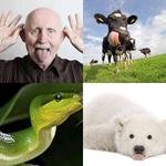 5-buchstaben-antwort-zunge